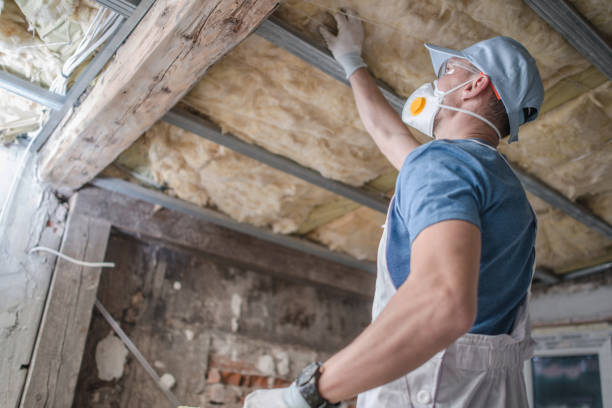 Best Insulation Maintenance and Repair in Delmar, MD