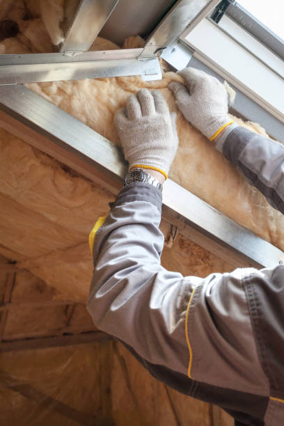 Best Types of Insulation in Delmar, MD